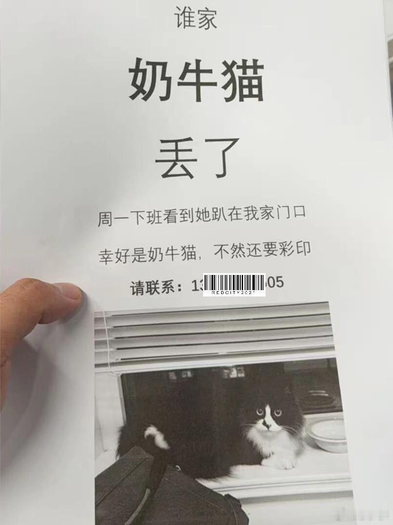 幸好是奶牛猫，不然还要彩印​​​[狗头]