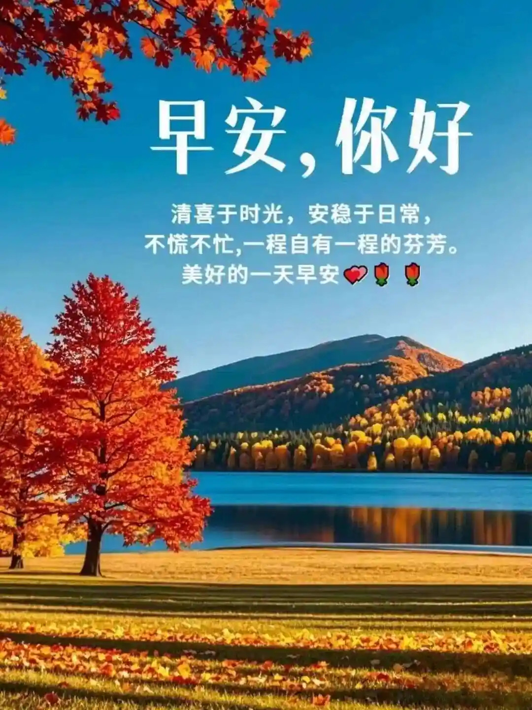 2026-1-15，星期四，晴☀️〈11-27°C〉🌻🌻早安