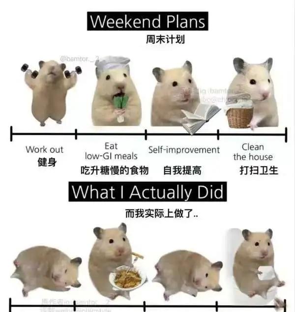 沙雕梗图5大家周末都在做啥呢？[doge][doge][doge][doge]狂打游戏，然后