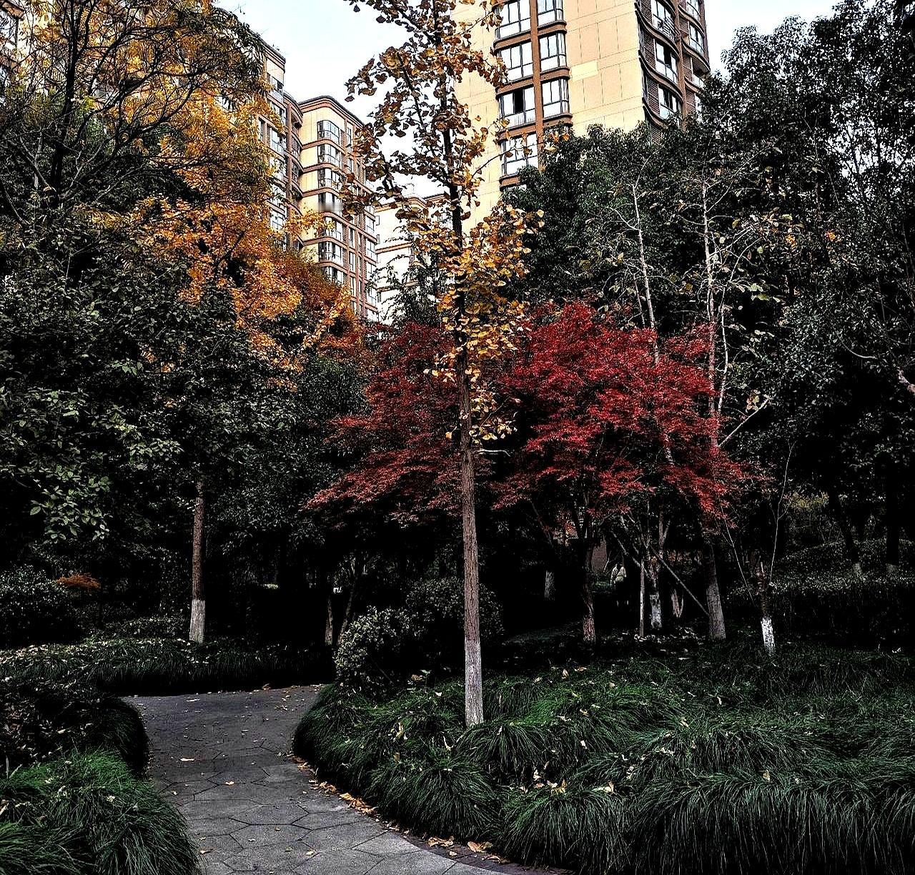 站桩打卡第16天，今日站桩20分钟。他顶着没好利索的感冒和舌头上疼着的疮