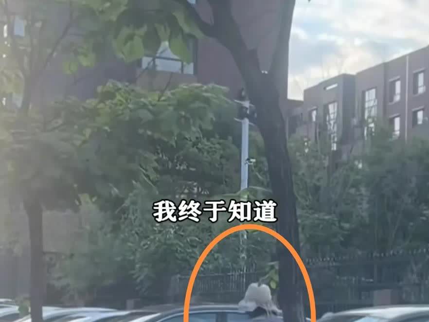 “原来是这样？”6月24日，吉林一名女子发视频吐槽说，终于知道为什么经常