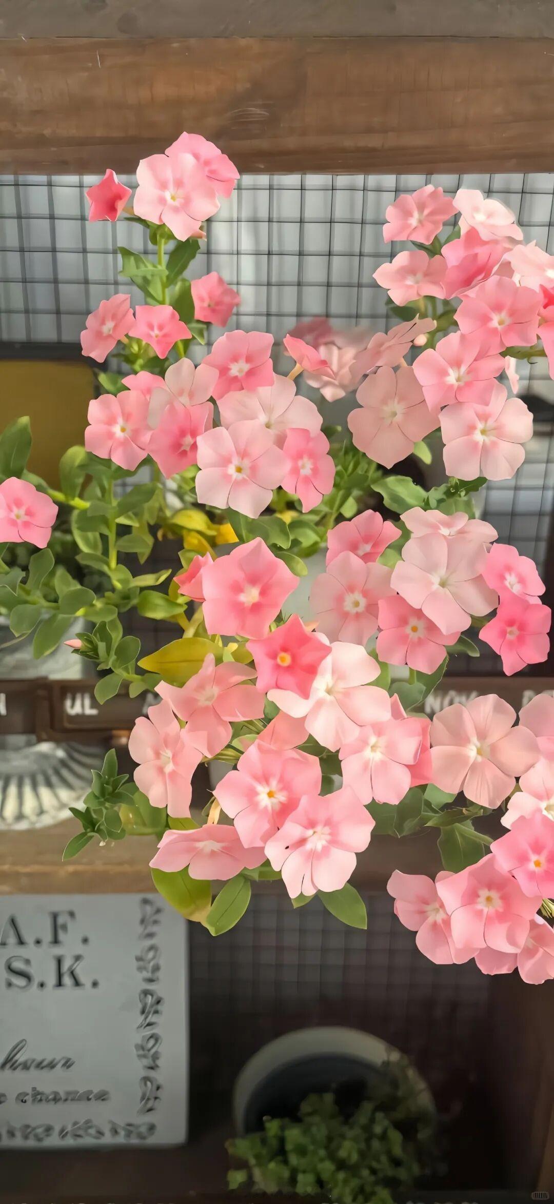 年少的喜欢是什么？是连叫一次你的名字都是隐晦的告白。——帘十里《夏日焰火》晚安