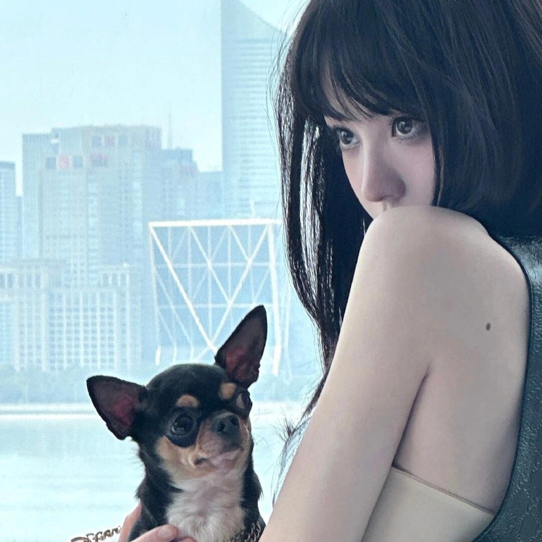 𝙒𝙚𝘾𝙝𝙖𝙩｜田曦薇明星头像氛围感头像精选女头