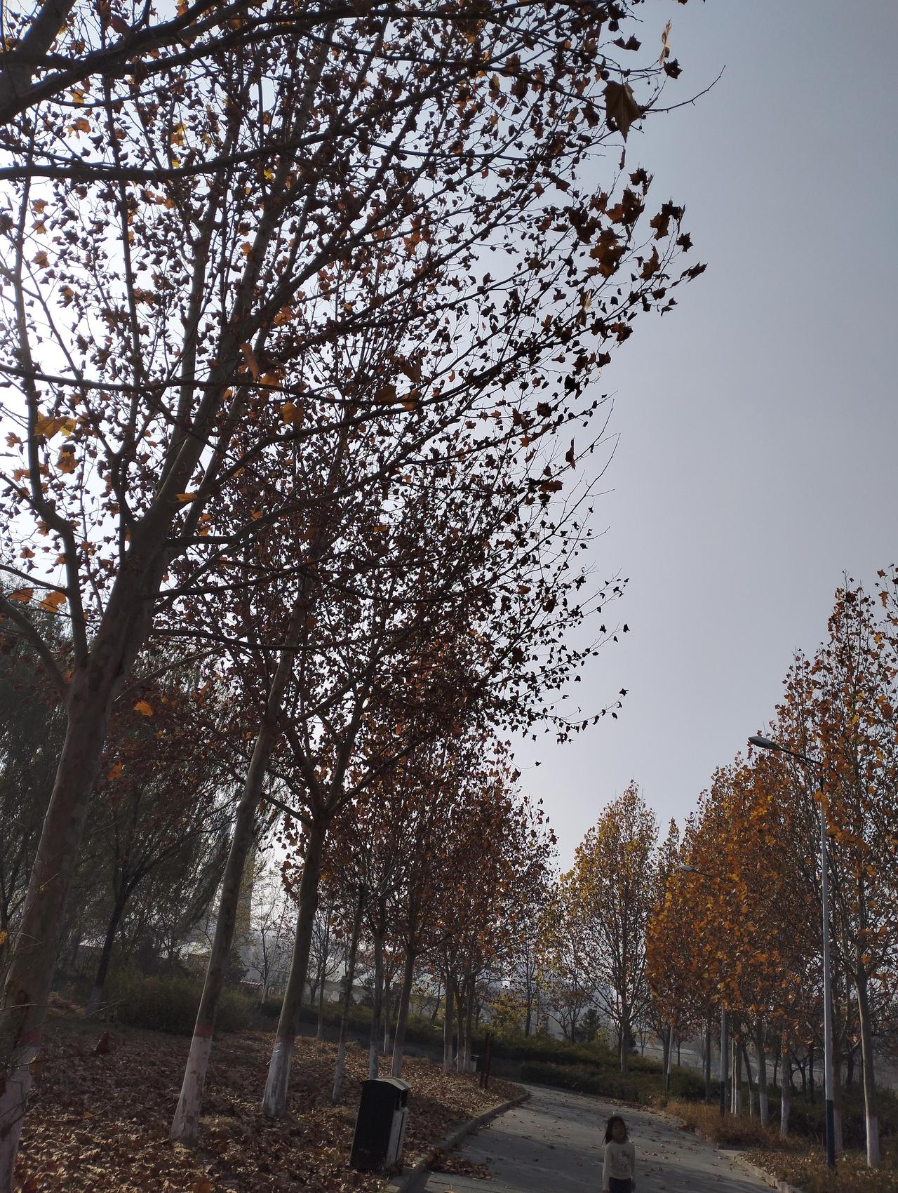 晒图笔记大赛儿子朋友的妈妈，就在昨天下午脑袋觉得不好受，被老公直接拉进了市医院，