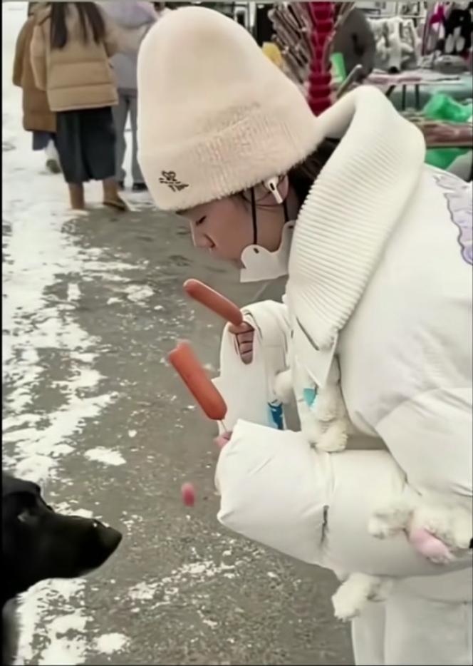 哈哈哈，第一次理解进口的产品是这样的，全红婵好厉害又创新啦！她给萌宠🐶喂热狗顺