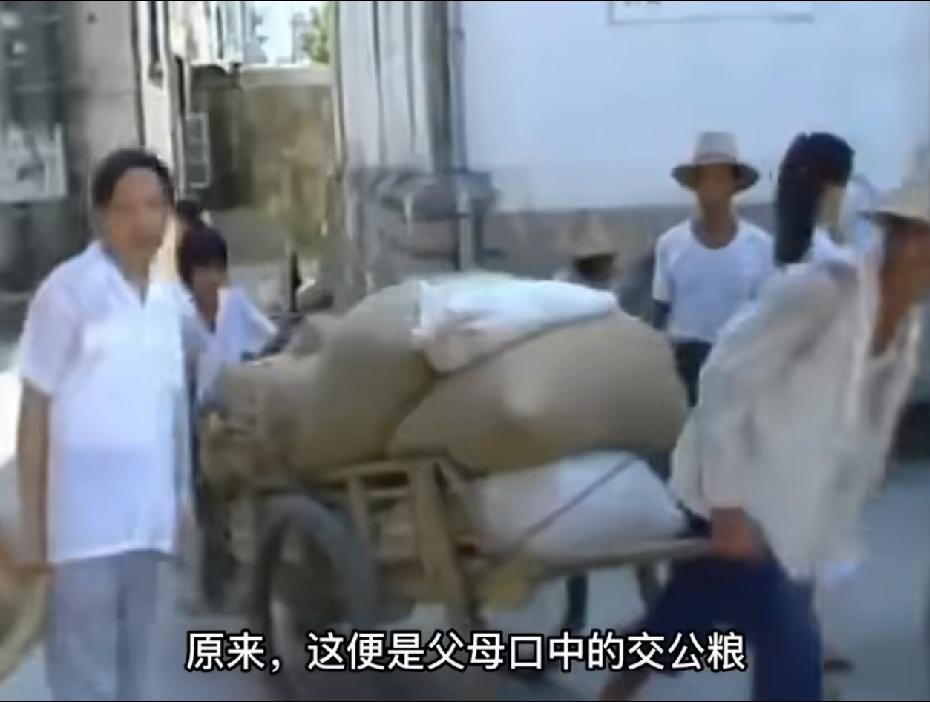 还记得以前农村交公粮的场面吗？推着独轮车，挑着扁担，排着长队在粮站等候。如今这批