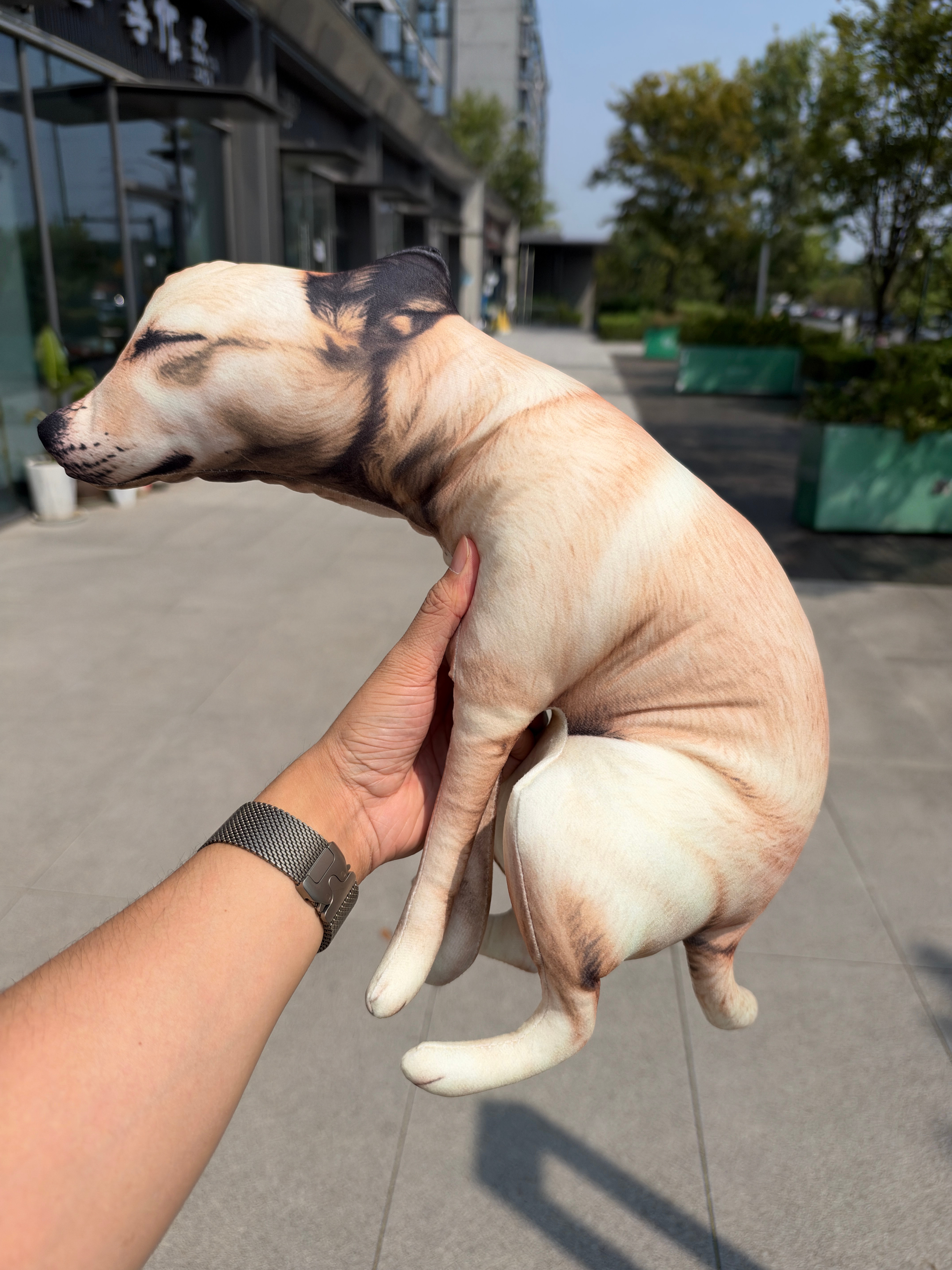 买了一只玩具狗，结果家里现在多了一个同款​​​