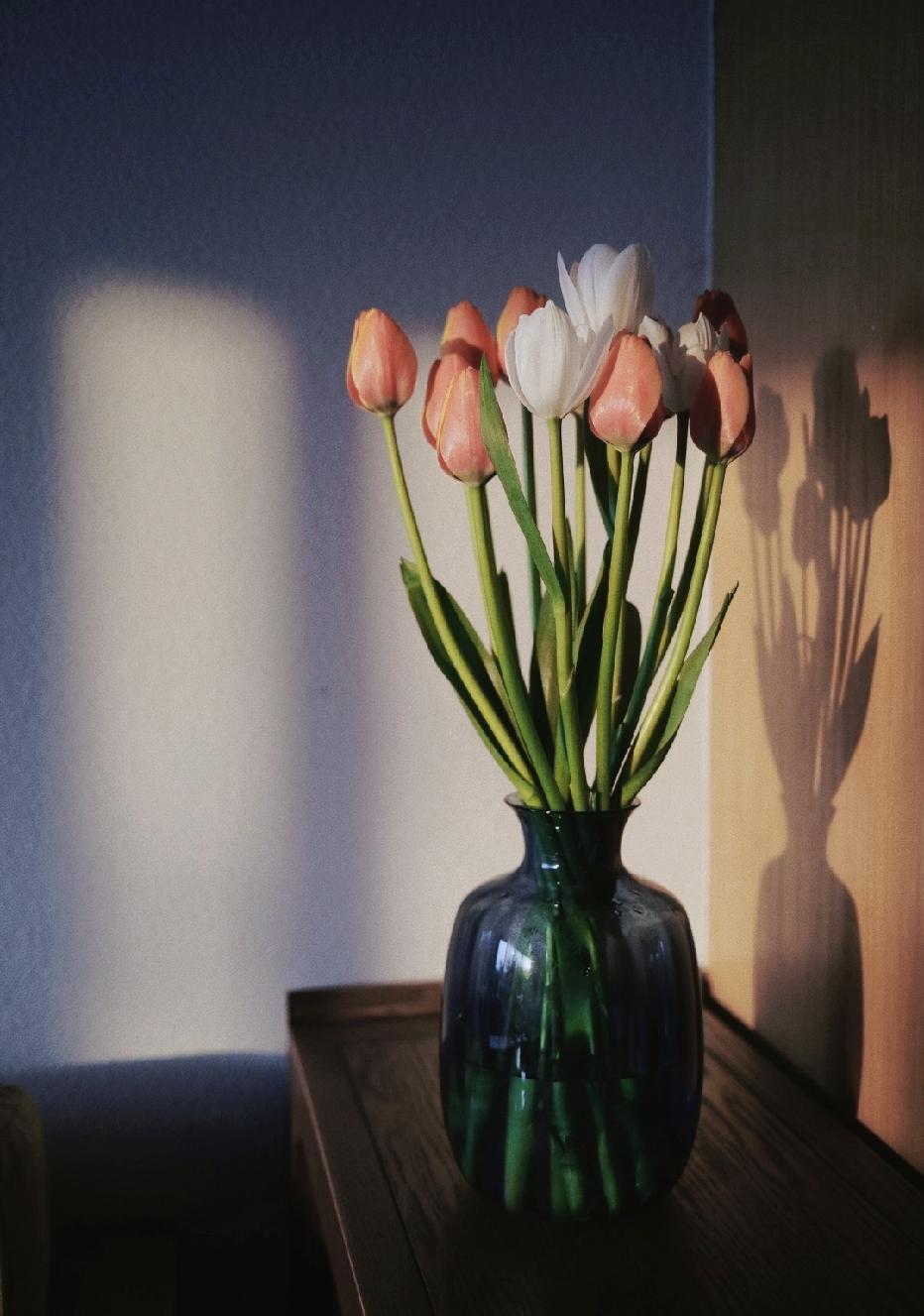 非常深刻的一段话：“童年对人性无知，是可爱；青年对人性无知，是可笑；中年对人性无