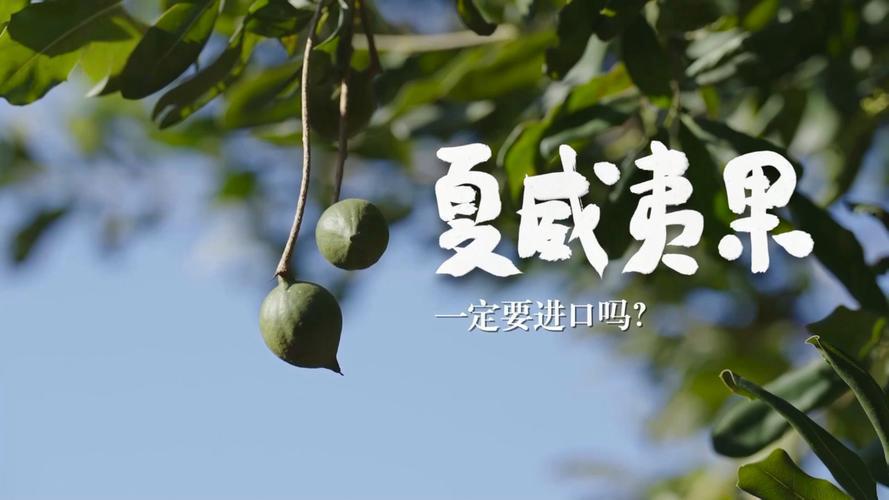 好消息，进口水果饮品纷纷“国产化”！你常吃的夏威夷果、藏红花、甚至三文鱼，可能早