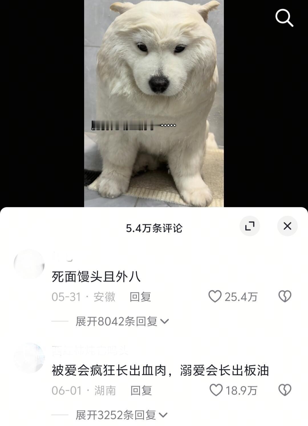 被爱会疯狂长出血肉，溺爱会长出板油哈哈哈​​​