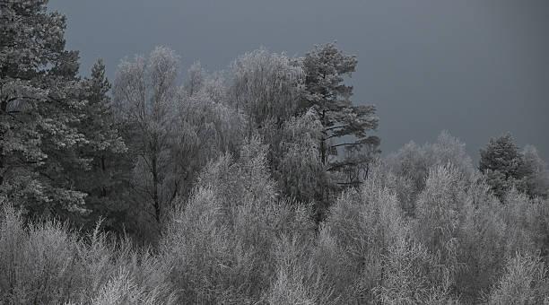 一位职场精英说：一旦上了竞争场，就别再用“同情心”当武器。有一句话很刺耳，但