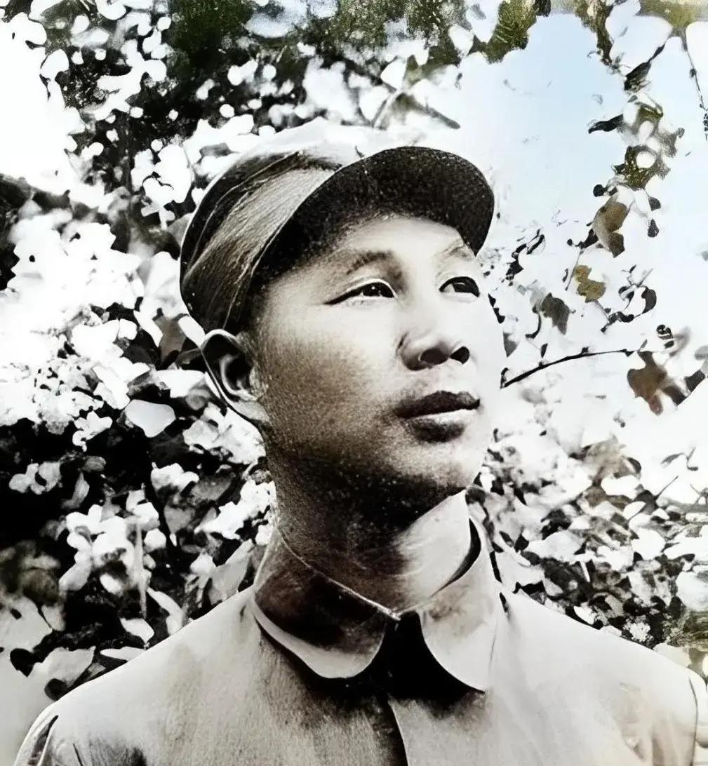 1937年，杨成武请地主吃饭，随后要他们捐款抗日。一向抠门的地主王蒲伸出五根手指