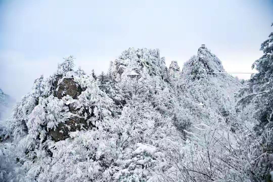 雪落中原，河南这些景区已美成了童话当大雪纷纷扬扬覆盖中原大地，河南的山川河流