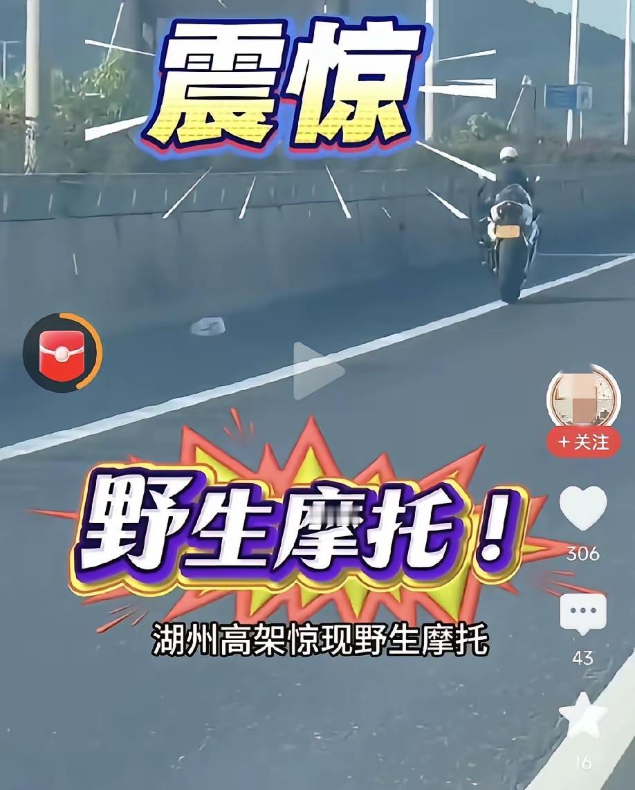 湖州高架意外出圈！张雪820RR不靠赛事，凭“无人驾驶”画面刷屏全网提起张