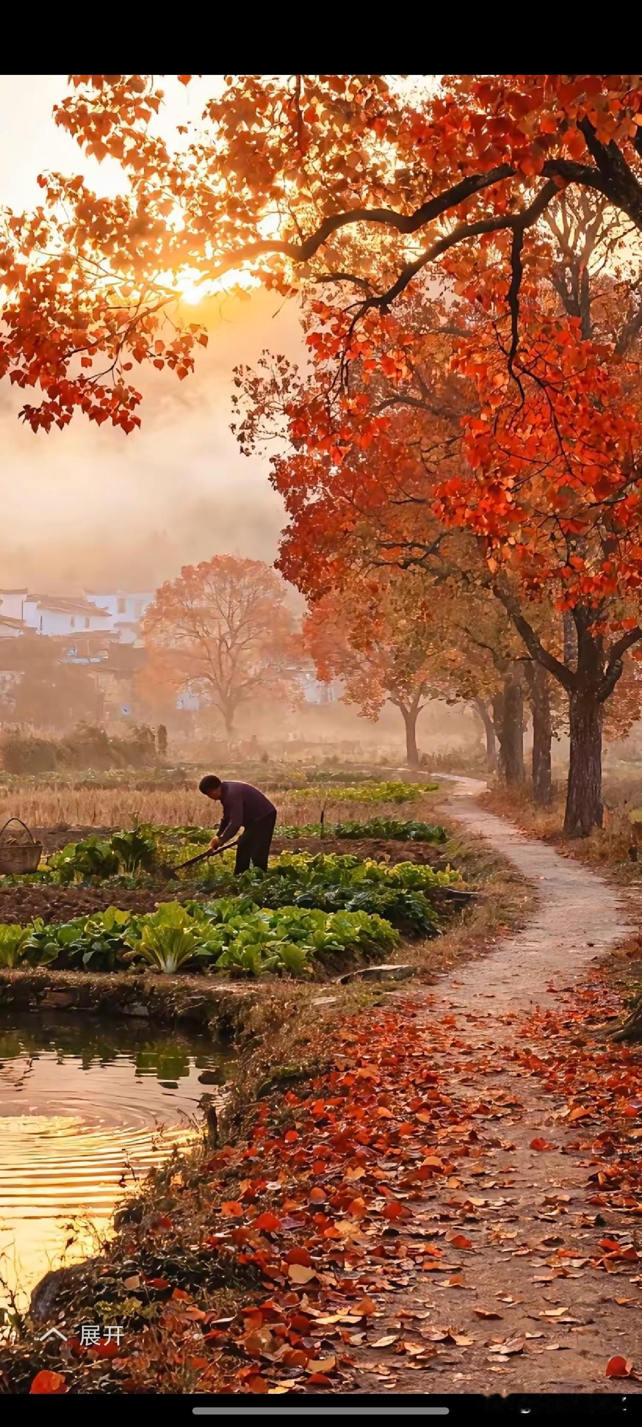 人间仙境，世外桃源人间仙境美如画养老宜居，绝了