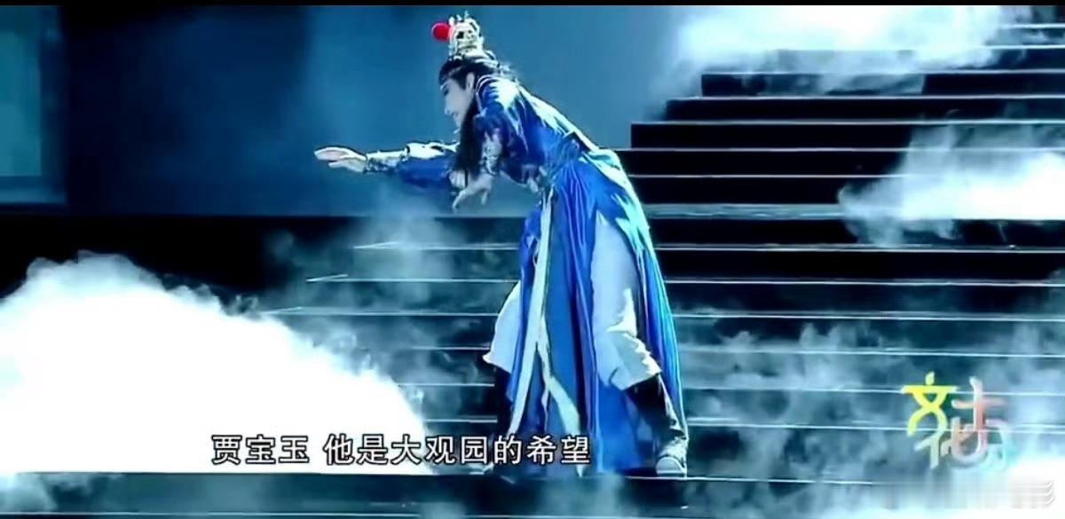 陈丽君说贾宝玉是长子长孙来自DS的科普——贾氏家族分为宁国府和荣国府。荣国府中，