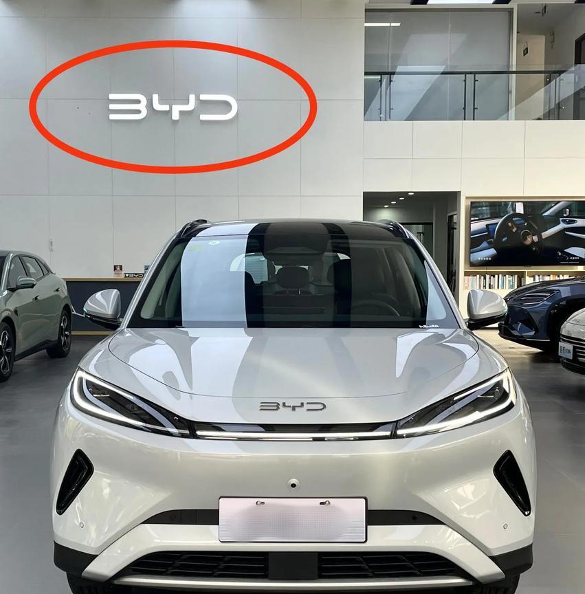 2025年6月汽车投诉排行比亚迪成功霸榜，有三款别上榜！1.比亚迪