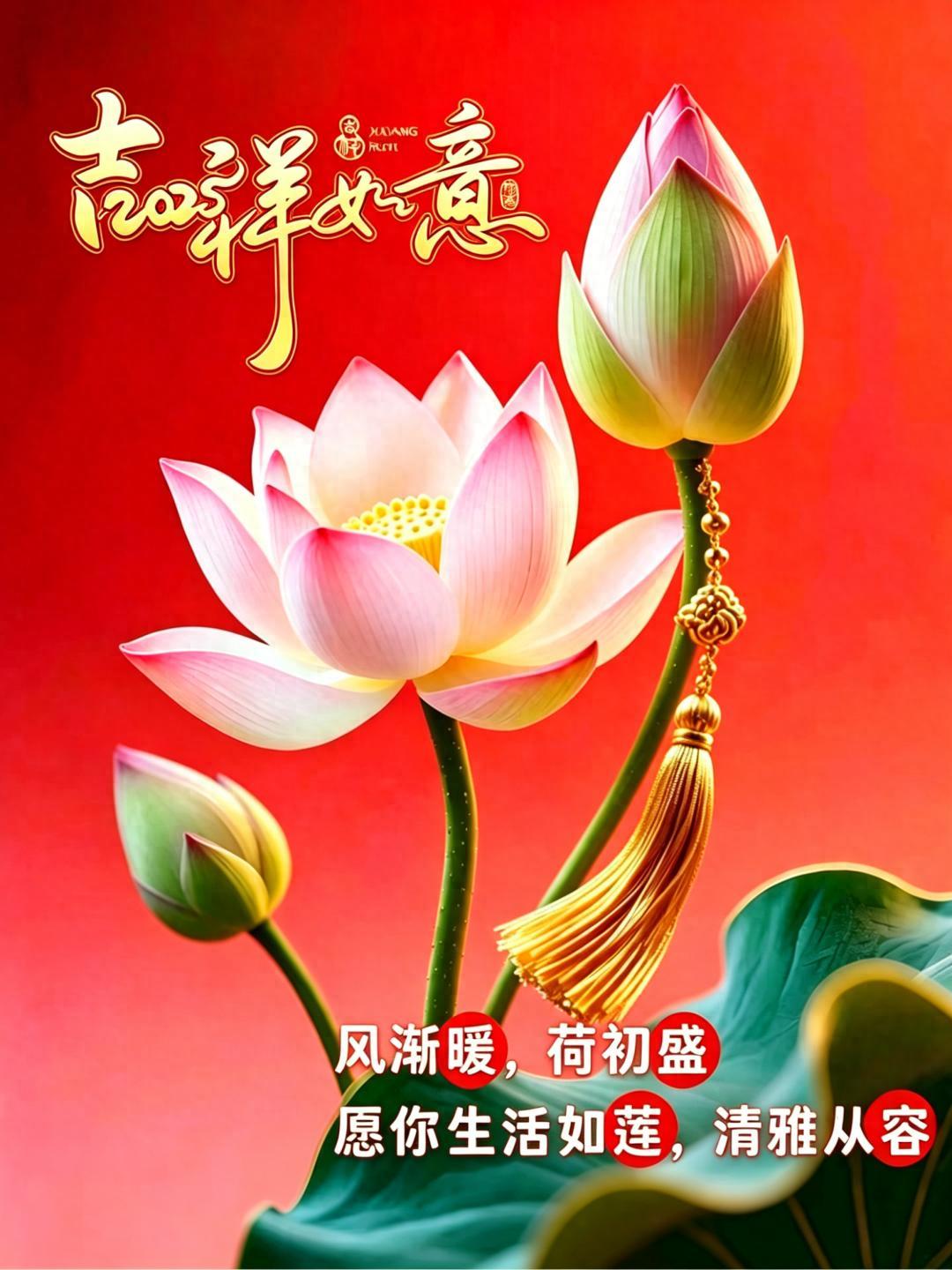 新的一周，新的开始，愿你周一元气满满，一周事事如意，生活丰富多彩，日子充实有趣，