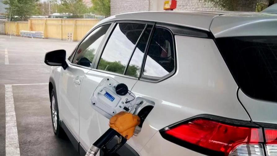 “燃油SUV”销量王：瘦死的骆驼比马，单月零售量达到16865台