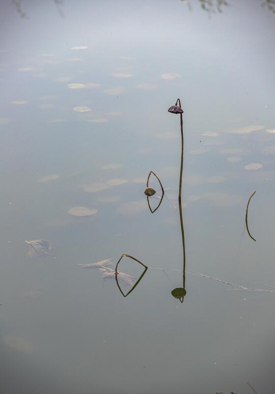 上联：孤灯照夜思卿切；下联：杯盏对月恋旧深。