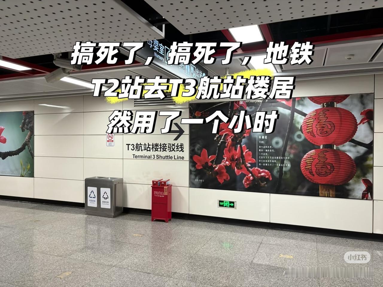 新开通的白云机场T3航站楼的交通，地毯，飞机滑行时间被广大乘客吐槽的三大存在的问
