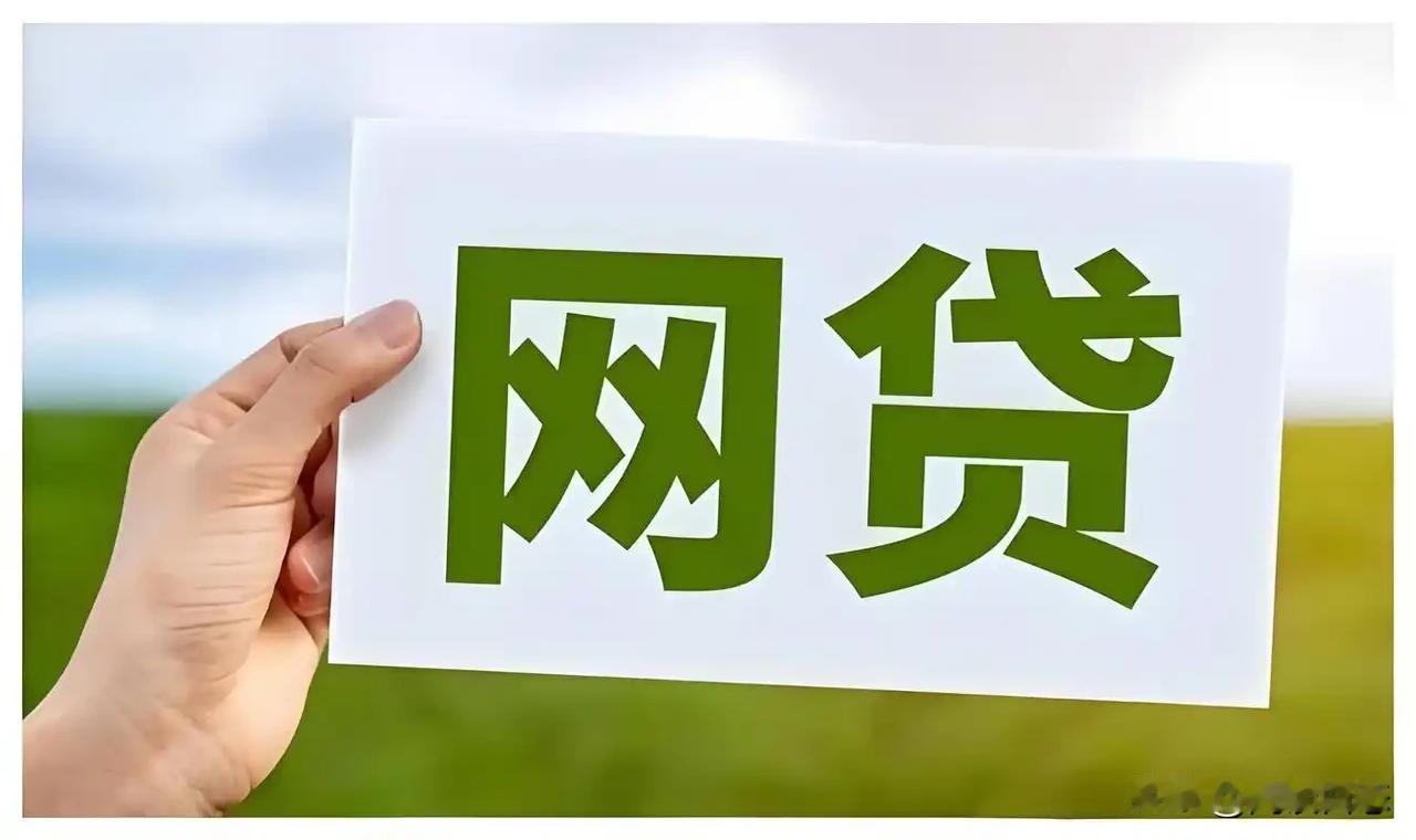 因为很多人收入不高，资质又不好。没办法直接从银行贷出款来，只能通过网贷平台贷出来