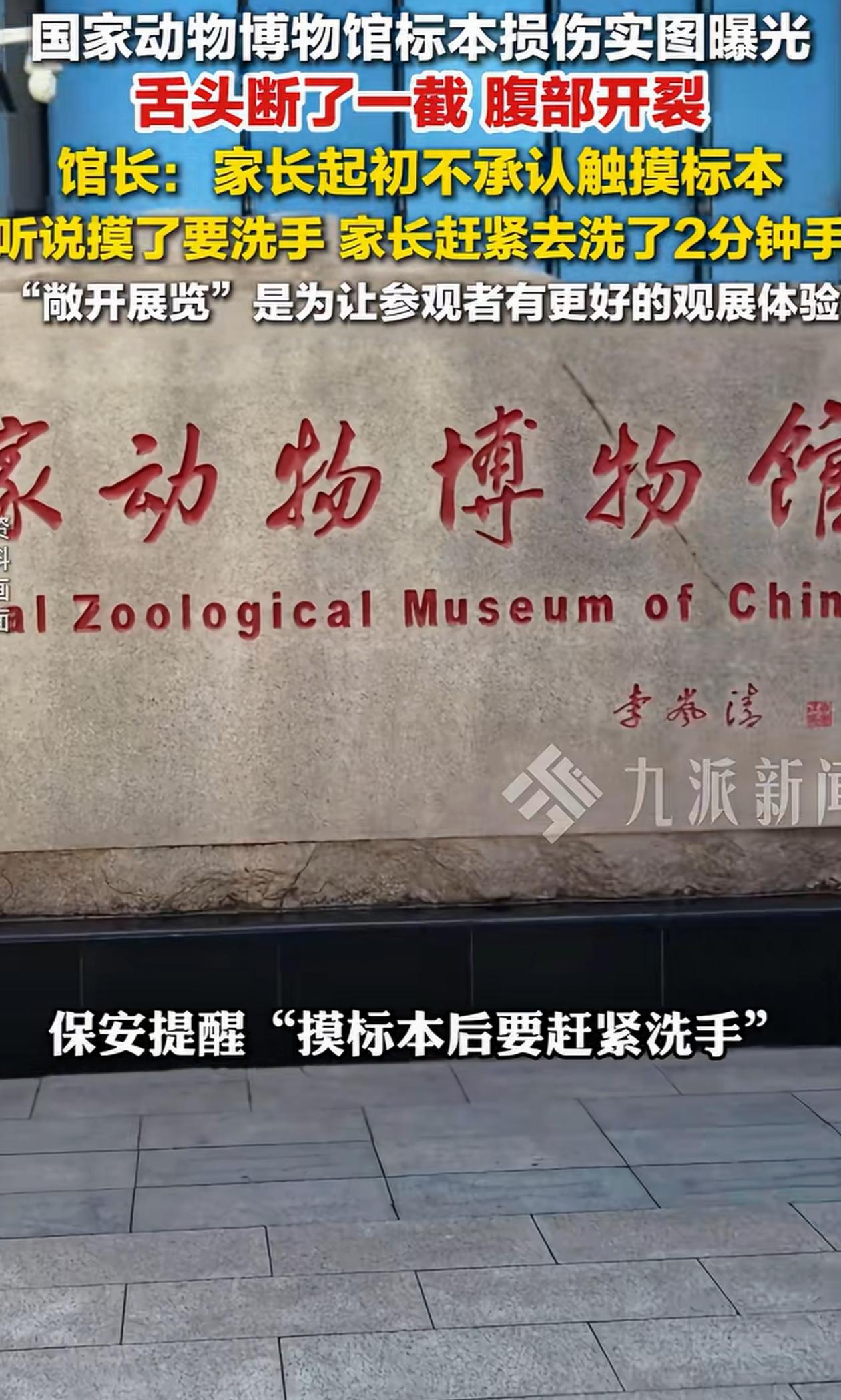 国家动物博物馆珍贵标本被两个小孩子弄坏后，家长一开始还不承认，结果保安跟他说标本