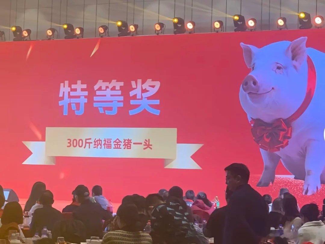 请问，这个如何理解？是一头猪？还是一坨金子