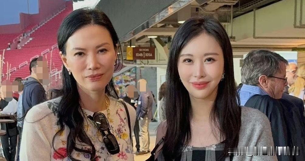 洪晃谈田女士和老王时，真敢说。她说田女士想学邓文迪，学成了东施效颦。田女士把