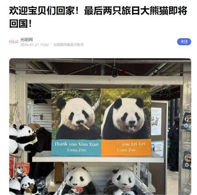 日本已经完全没有回头的余地了，因为中国不会让他们回头！看中国最近的动作就知道了。