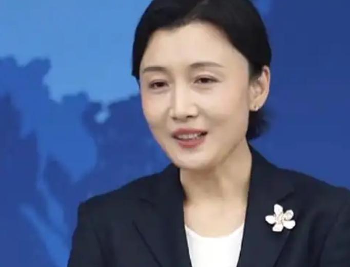 国台办发表严正声明6月10日下午，国台办新闻发布会的现场气氛比往常凝重了许