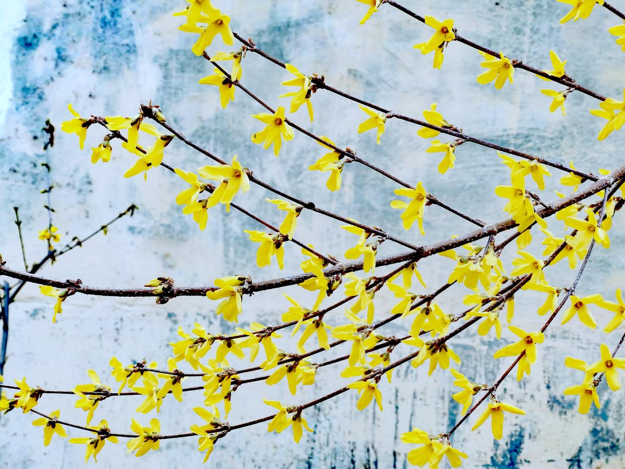 无论是公办本科还是民办本科，只要拥有本科学历，在考公考编时都会一视同仁，没有高低