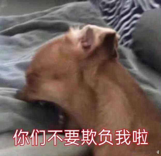 不是黑呀，实话实说而已