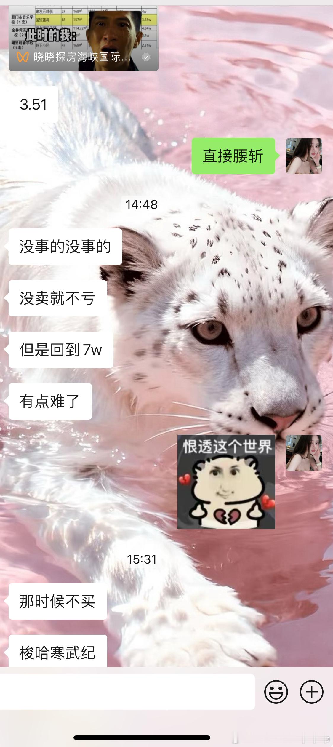 我厦门的房子已经腰斩了还有什么比这更让人心痛的事情果然最好的投资就是不投资