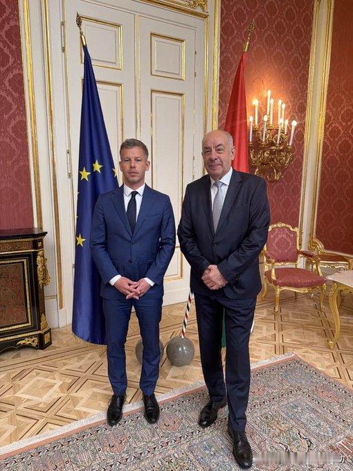 马扎尔称总统不配成为匈牙利的团结象征。马扎尔在与匈牙利总统舒尤克会面后，要求他识