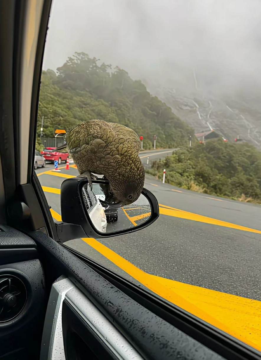 请问后视镜碎了要找它赔吗？