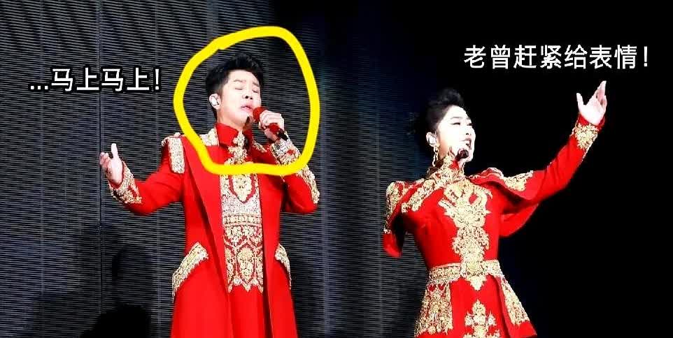 一觉醒来，凤凰传奇的天塌了！曾毅与玲花两人预谋了二十年的事情，结果被网友