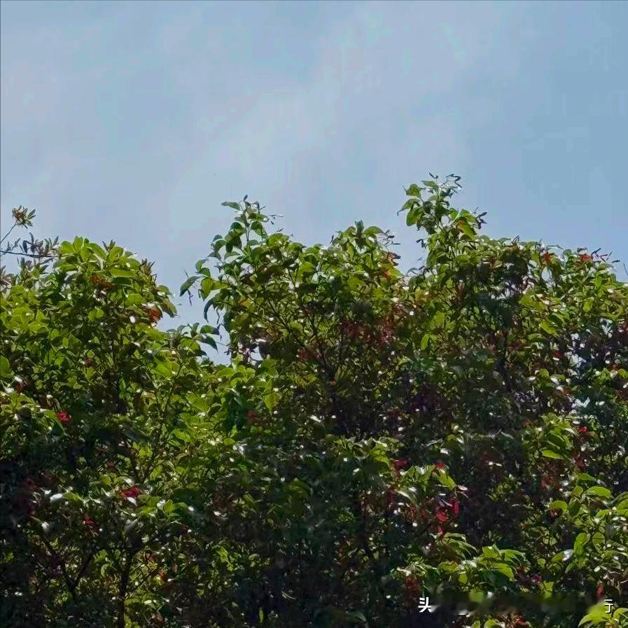 四川：执纪审查1人 4月27日晚上，该省执纪审查1人，为今年66岁、已经退休