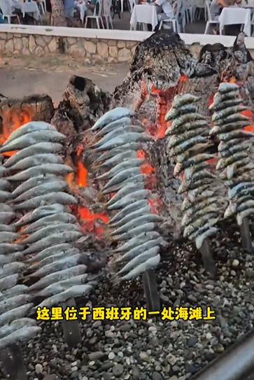炭烤沙丁鱼据说挺美味！西班牙的海滩上，这样的炭烤沙丁鱼，连内脏和鱼鳞，都不清