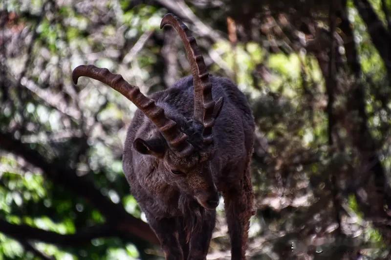 摩羯座的友情观超有特点。作为土象星座，他们是人际关系的细腻观察者，对朋友能百分百