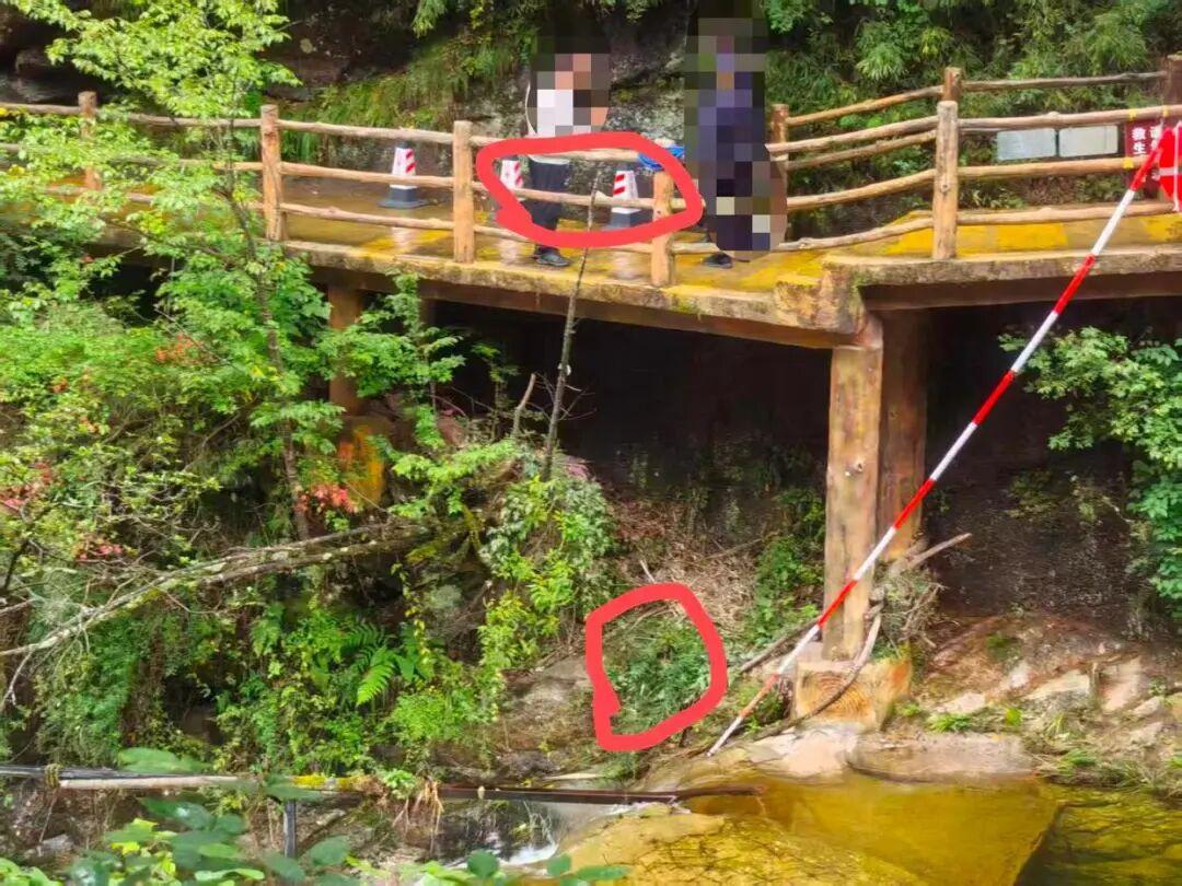 陕西佛坪，一3岁男孩去某景区游玩，刚过检票口十多米，进入一条木质栈道。不料，男孩