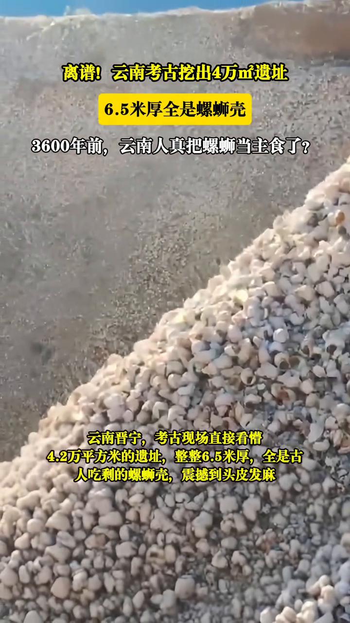 离谱！云南考古挖出4万m2遗址，6.5米厚全是螺蛳壳。3600年前，云南人真把