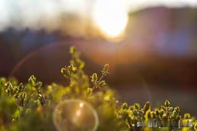 电商会被平台干掉吗电商的现状很艰难,除了头部主播以外,中小电商都很难,向平台买流