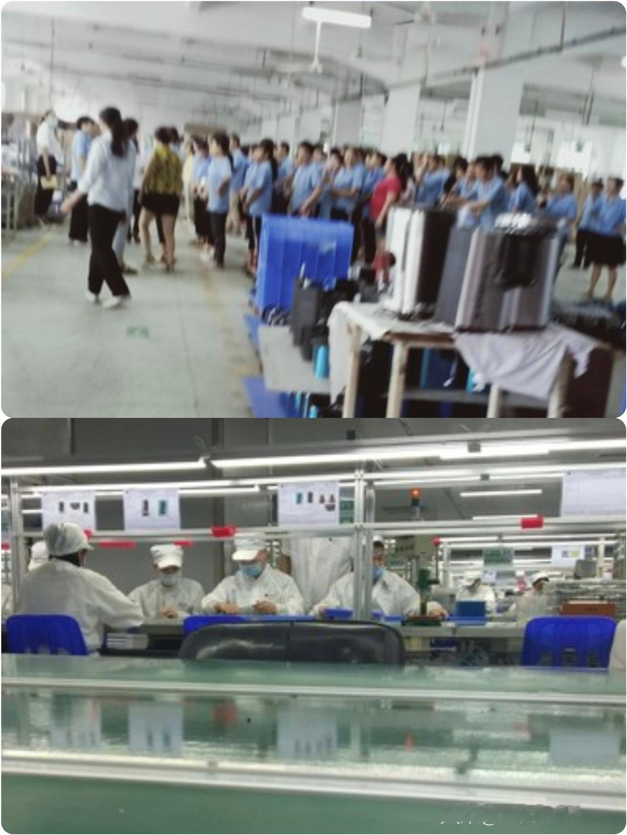 硕士生入职一月被安排流水线拧螺丝，107名校招生遭劝退，校招何时沦为企业缓冲带