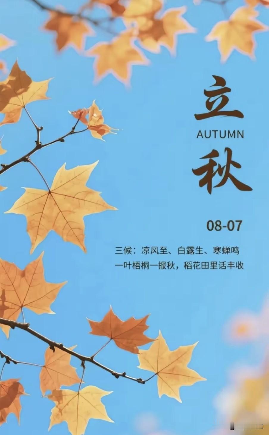 "冷不冷，就看立秋"，今日立秋，今年冬天会冷到哭吗？伴着初秋微凉，我们迎来