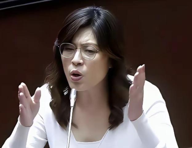 台湾蓝营终于摊牌了！郑丽文直接公开表明态度，坚决不接受一国两制。这话从国民