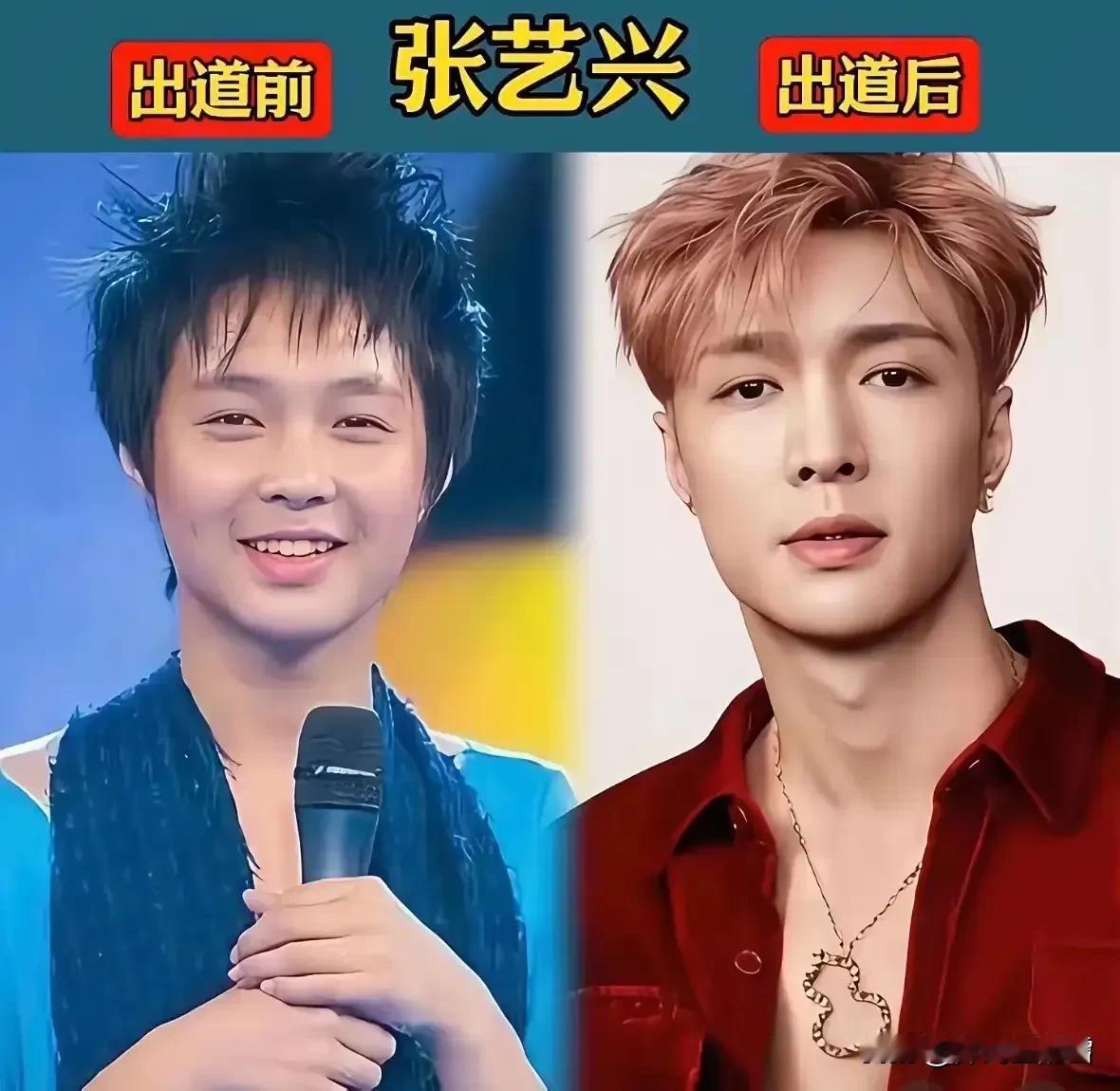 张艺兴的出道前和出道后。鼻子垫得非常成功，从此趴趴鼻变成了立体鼻。眼睛变