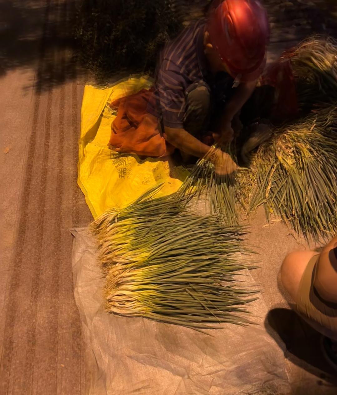 钱现在是越来越难挣了，2026年接下来大家一定要牢记：1、不管挣多少，一定要有