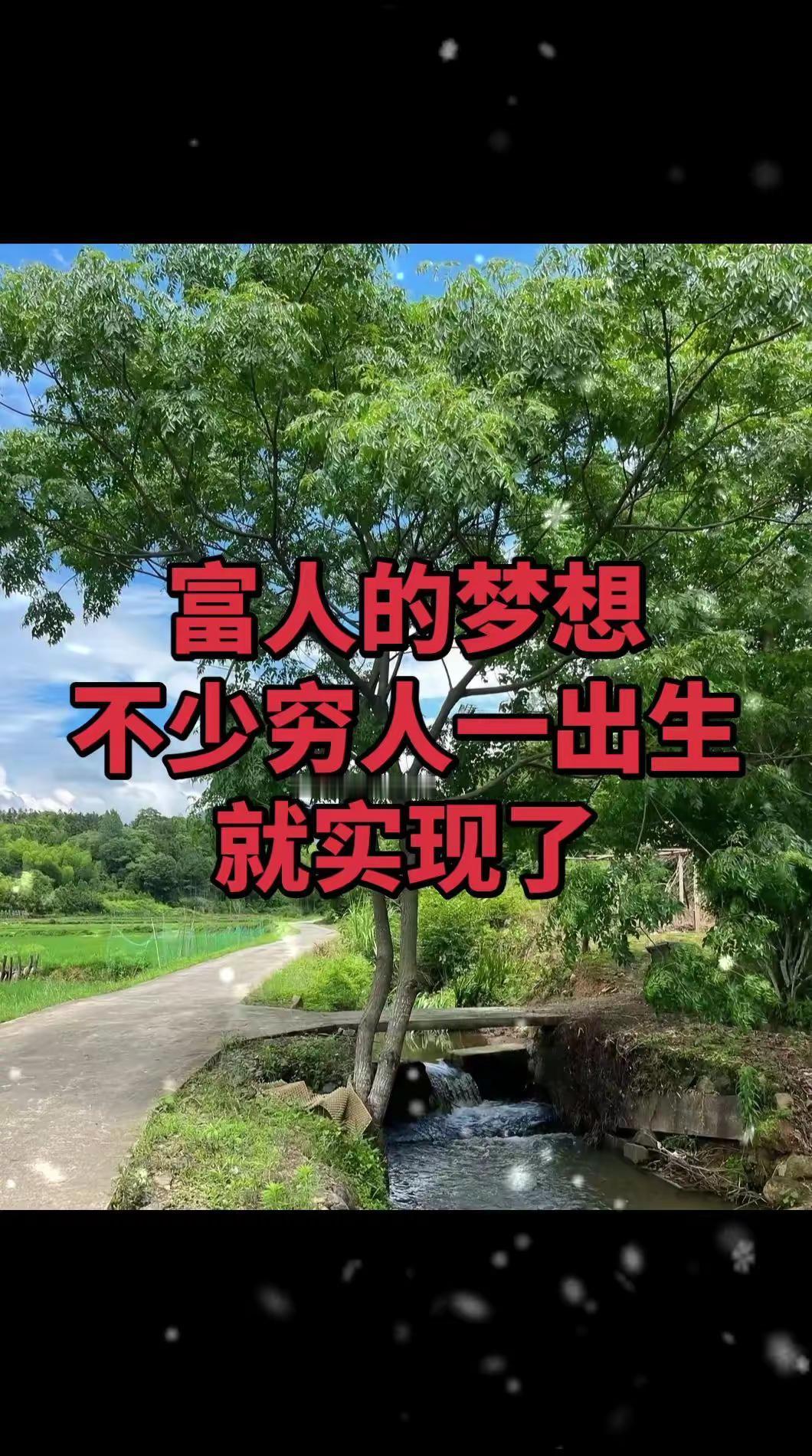 富人的梦想，穷人一出生就实现了