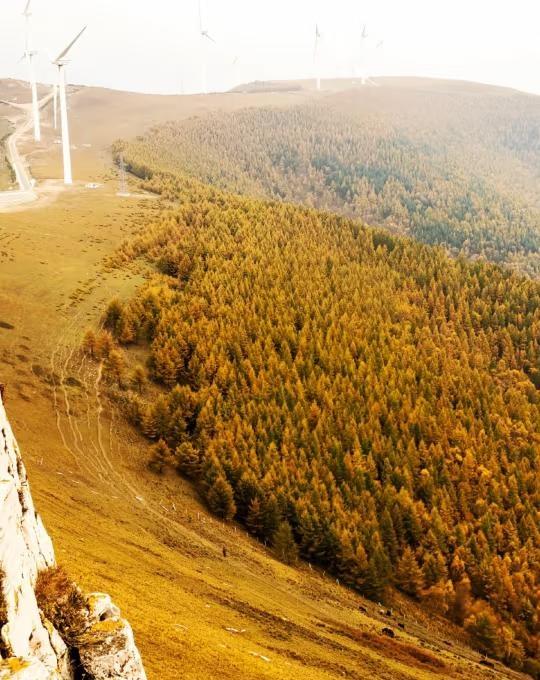 北方的深秋～有点“塞外”那味儿了！大同的深秋总是与“雪”结伴而行～.所以